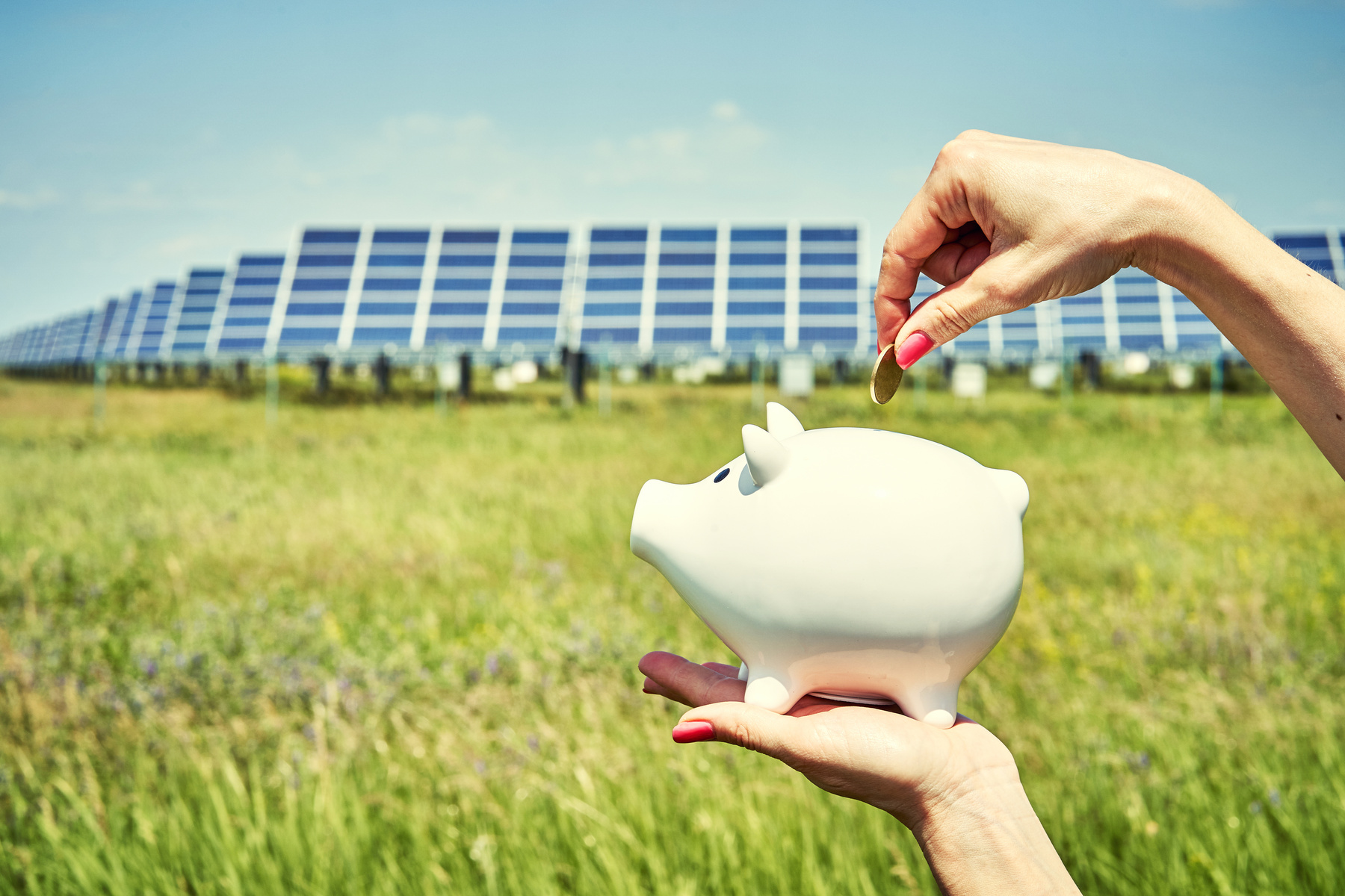 Person Putting Coin in Piggybank in a Solar Panel Field 